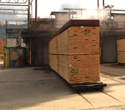 Radiata pine outside a high temperature kiln