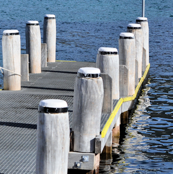 Marine piles on a NSW north coast jetty