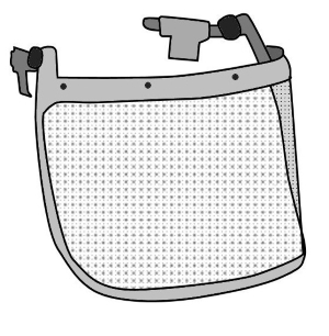 Face shield