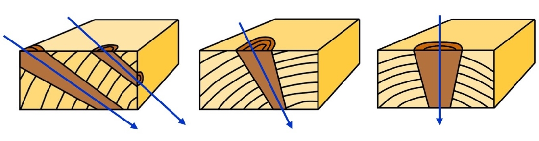 Knots at different angles – all running towards the pith