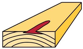 Resin pocket in a softwood board