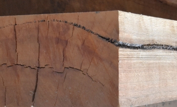 Tight gum vein that becomes a loose gum vein. 