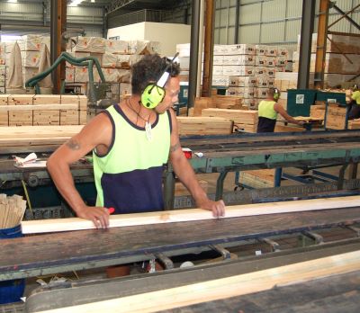 Visual stress grading techniques